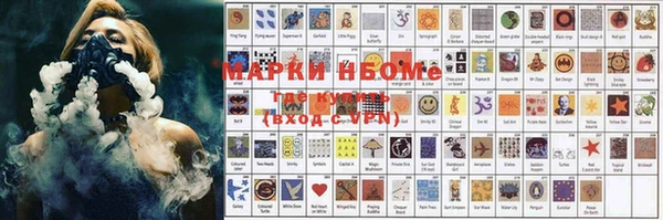 гашик Козловка