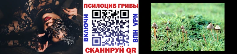 Псилоцибиновые грибы мухоморы  Давлеканово 